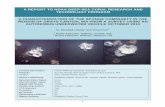 CHARACTERIZATION OF SPONGE SITE STUDY SITE: GRAYS A …