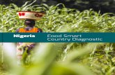 Nigeria Food Smart Country Diagnostic - World Bank