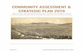 COMMUNITY ASSESSMENT & STRATEGIC PLAN 2019