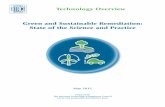 Green and Sustainable Remediation: State of the Art and ...