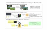 Enzymatic Synthesis of Valuable Compounds Using Microbial ...