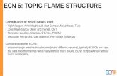 ECN 6: TOPIC FLAME STRUCTURE
