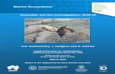 Australian sea lion investigations: 2018-19