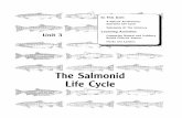 Salmonid Life Cycle - Keep the Salmon Coming Home