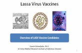 Lassa Virus Vaccines - WHO