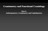 Part I: Anthropometry, Craniometry and Cephalometry