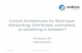 Control Architectures for Multi-layer Networking ...