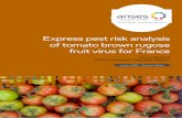 ANSES OPINION and REPORT on the Express pest risk analysis ...