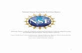 National Science Foundation Workshop Report