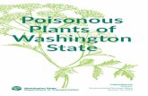Poisonous Plants of Washington State