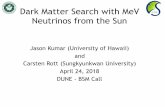 Dark Matter Search with MeV Neutrinos from the Sun