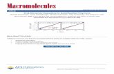 End-Monomer Dynamics in Semiflexible Polymers