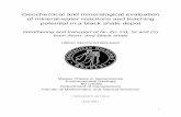 Geochemical and mineralogical evaluation of mineral-water ...