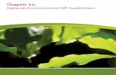 Chapter 12: Natural Environment DP Guidelines