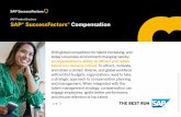 SAP SuccessFactors Compensation - Synerion
