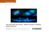Lesson plan: mitosis and meiosis - Comunidad de Madrid