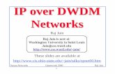 IP over DWDM Networks