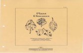 Plant Diseases - University of Connecticut