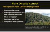 Plant Disease Control - UCANR