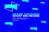 SPARK COURAGE: WHAT WE HEARD