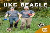 NOVEMBER 2021 UKC BEAGLE - ukcdogs.com