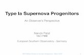 Type Ia Supernova Progenitors - TUM