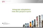 Integrate adaptation into the project cycle