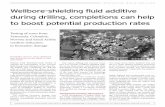 Wellbore-shielding fluid additive during drilling ...
