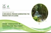 GREEN INNOVATION IN WASTEWATER TREATMENT