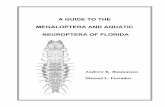 A GUIDE TO THE MEGALOPTERA AND AQUATIC NEUROPTERA …