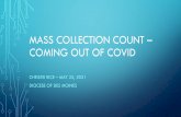 Mass Collection Count - dmdiocese.org