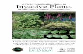 Invasive Plants - KBS GK12 Project