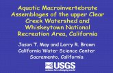 Aquatic Macroinvertebrate Assemblages of the upper Clear ...