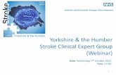 Yorkshire & the Humber Stroke Clinical Expert Group (Webinar)