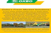 Oxbo’s Fresh Market Solutions