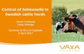 Control of Salmonella in Swedish cattle herds