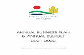 ANNUAL BUSINESS PLAN & ANNUAL BUDGET 2021-2022