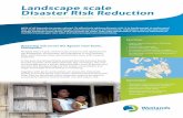 Landscape scale Disaster Risk Reduction - Europa