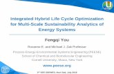 Integrated Hybrid Life Cycle Optimization for Multi-Scale ...