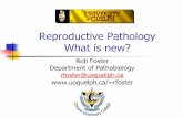 Reproductive Pathology What is new?