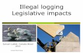 Illegal logging Legislative impacts