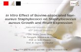 aureus Staphylococci on Staphylococcus aureus Growth and ...