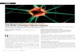 Treatment of Neuropathic Pain The Role of Unique Opioid Agents