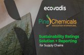 Sustainability Ratings Solution + Reporting