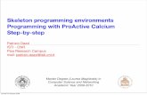 Skeleton programming environments Programming with ...