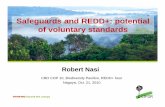 Safeguards and REDD+: potential of voluntary standards