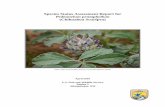 Species Status Assessment Report for Pediomelum ...