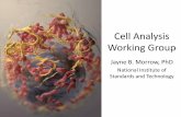 Cell Analysis Working Group
