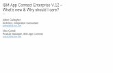 IBM App Connect Enterprise V.12 What’s new & Why should I ...