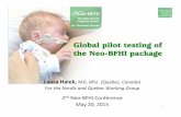 Global pilot testing of the Neo BFHI package